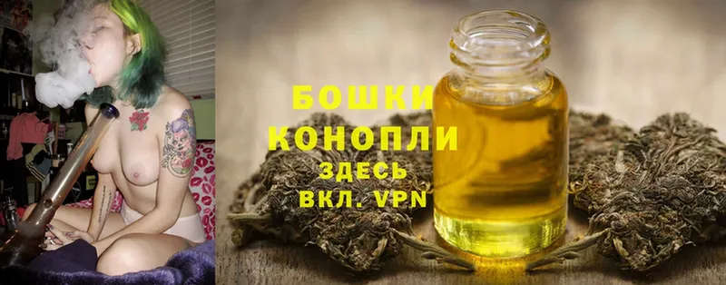 купить  цена  Ардатов  Канабис Ganja 